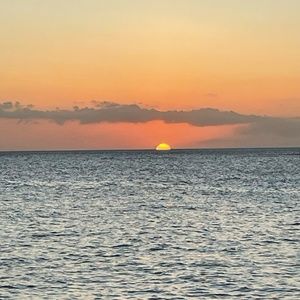 Meet your Posher, Nina